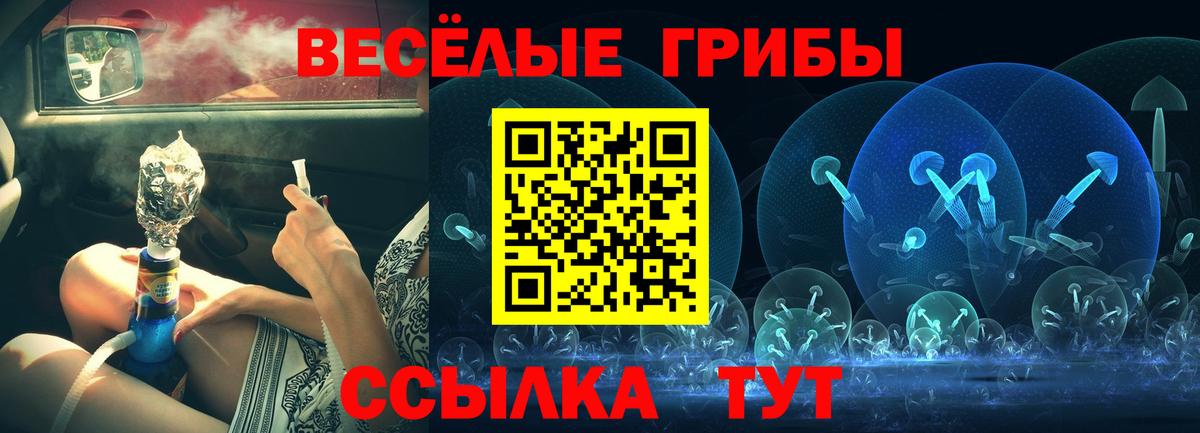 Псилоцибиновые грибы GOLDEN TEACHER Октябрьский